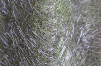 Annahilt fibreglass roof work